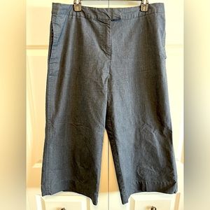 Cropped size 16 wide-leg blue/gray Who What Wear pants EUC